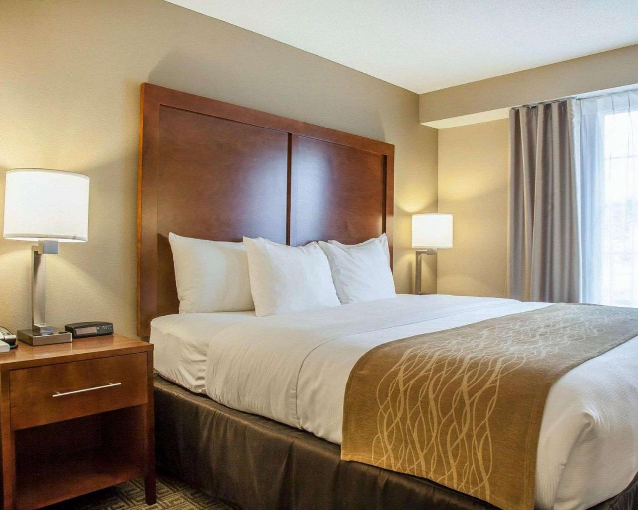 Comfort Inn & Suites Sturbridge-Brimfield Buitenkant foto