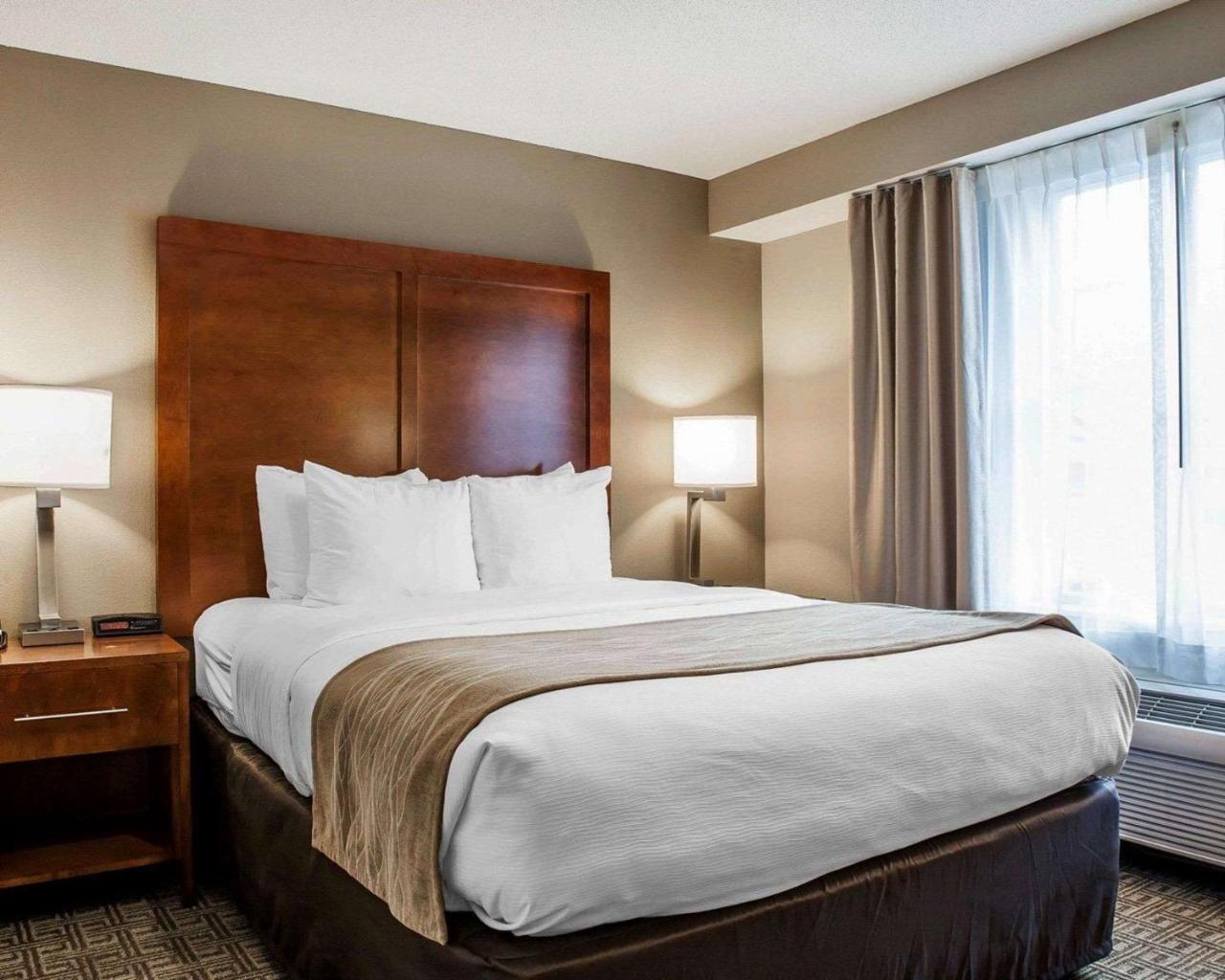 Comfort Inn & Suites Sturbridge-Brimfield Buitenkant foto