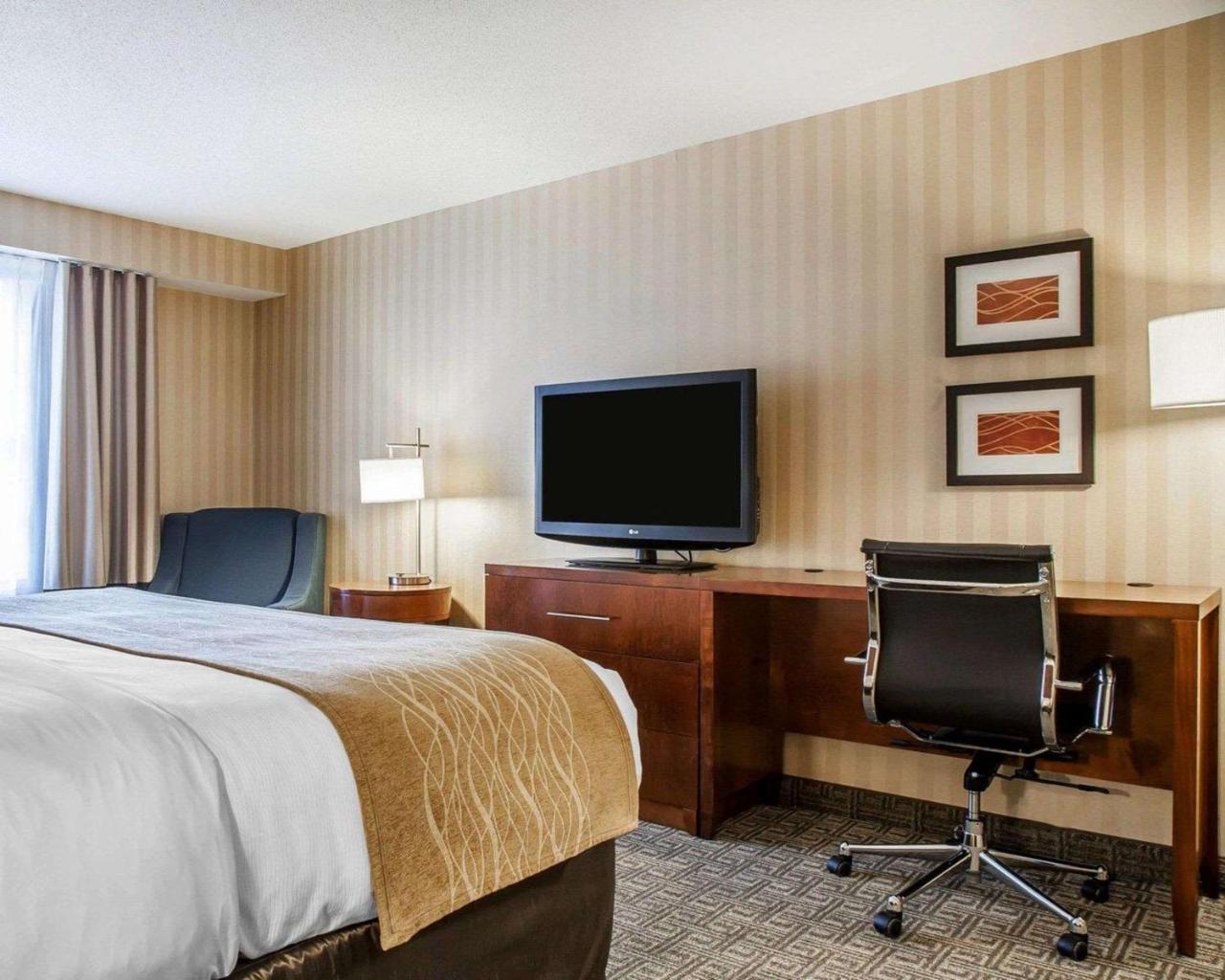 Comfort Inn & Suites Sturbridge-Brimfield Buitenkant foto