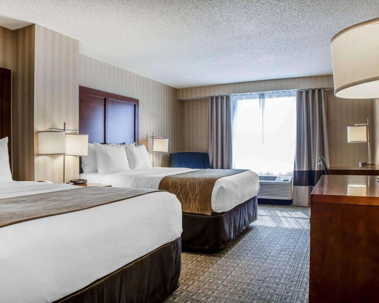 Comfort Inn & Suites Sturbridge-Brimfield Buitenkant foto