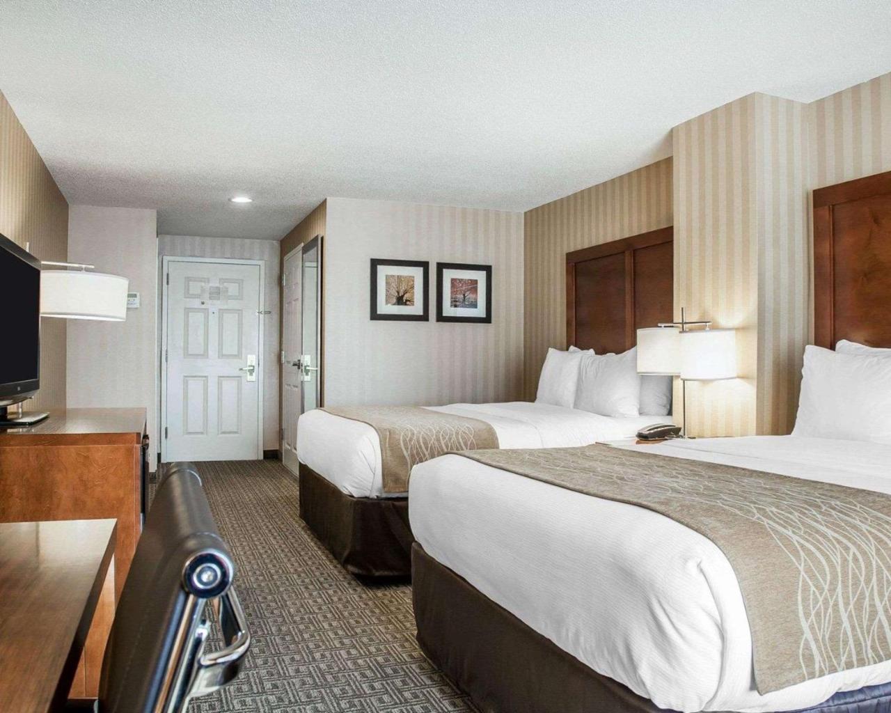Comfort Inn & Suites Sturbridge-Brimfield Buitenkant foto